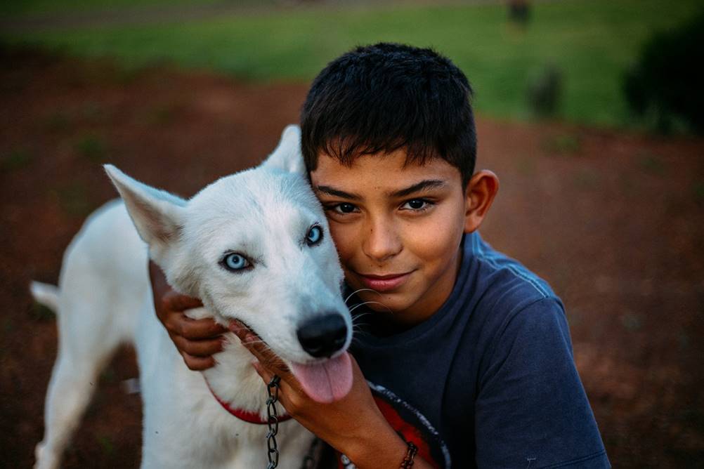 Leia mais sobre o artigo Você está preparado para ter um cachorro?